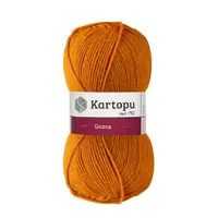 KG313