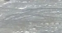 102
