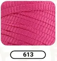 613